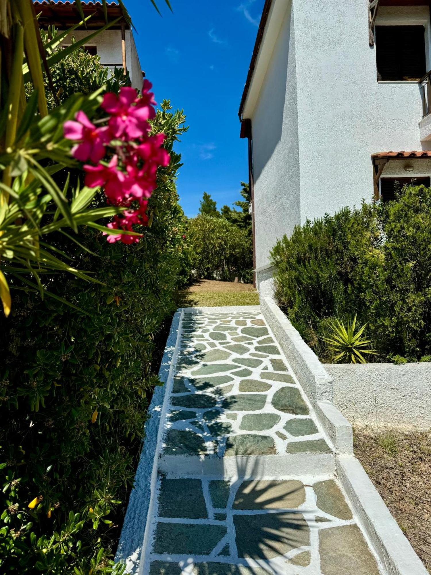 Summer Luxury Villa With Sea View Metamorfosi  Exteriér fotografie