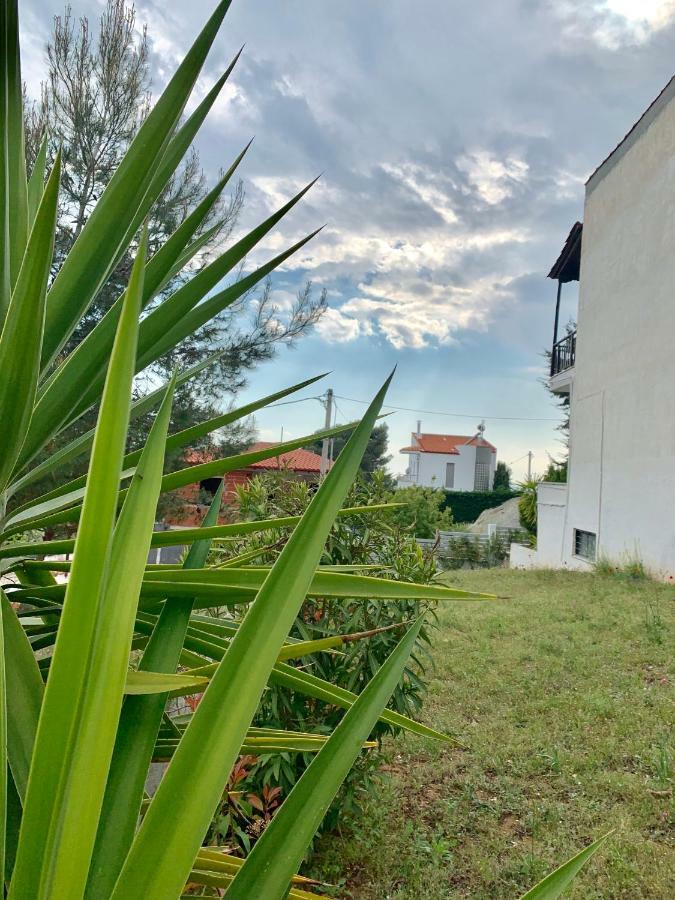 Summer Luxury Villa With Sea View Metamorfosi  Exteriér fotografie